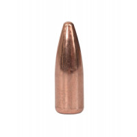 FRONTIER 223 62GR FP (1000)