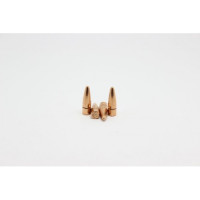 FRONTIER .30 CAL 155GR SPFB (500)