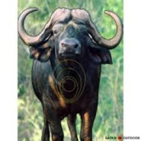 TARGET GARIPANI BUFFALO