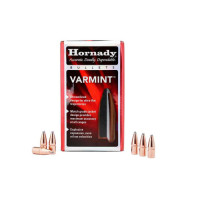 HORNADY .224 55GR  VARMINT SP (100)