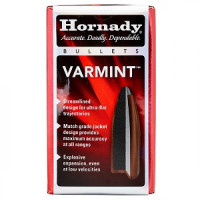 HORNADY 22 60GR SP (100) HORNADY 22 60GR SP (100)