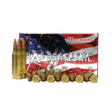 HORNADY 243 WIN 100GR BTSP AW (20)