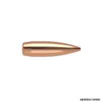 NOSLER 30CAL 155GR CUSTOM COMP (100) NOSLER 30CAL 155GR CUSTOM COMP (100)