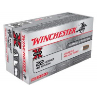 WINCHESTER .22 HORNET 46GR JHP(50)